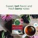 Traditional Medicinals Organic Echinacea Plus Elderberry Tea - 16 Tea Bags (Pack of 6) - Buy Online on GoSupps.com