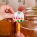 1 Gallon Jun Kombucha Starter Kit - Organic SCOBY & Ingredients for Jun Tea Brewing - Jar Not Included - Buy Online on GoSupps.com