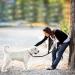 5m Tag Trag Leash for Dogs - Waterproof Drag Line with Handle & D-ring | Easy to Clean Dog Training Line for Small & Medium Dogs - Black - Buy Online on GoSupps.com
