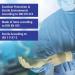 OP Surgical Gloves | Pure Latex, Sterile, Powdered | Size 7 | 50 Pairs - Buy Online on GoSupps.com