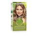 Naturtint Hair Color 8N Wheat Germ Blonde 1 Pack