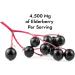Source Biology Elderberry Gummies - Immune Support with Vitamin C and Zinc - Vegan Formula - 4500 Mg Elderberry - 60 Gummies - Buy Online on GoSupps.com