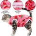 Professional Cat Recovery Suit | Breathable Surgical & E-Collar Alternative for Abdominal Wounds & Skin Diseases | Anti-Licking Regeneration Wear - Buy Online on GoSupps.com