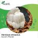 100% Lion's Mane Mushroom Extract Powder - Pure & Additive-Free - 3.52 Oz - Buy Online on GoSupps.com