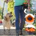 Lanktoo Dog Treat Pouch Bag with Poop Bag Holder - Waterproof Puppy Training Walking Bag in Black and Orange - Buy Online on GoSupps.com
