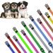 Yorgewd 12 Pack Adjustable Puppy Neck Bands - Safety ID Bands for Small Dogs & Cats (Multicolor 21.5-33cm) - International Shipping Available - Buy Online on GoSupps.com