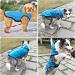Waterproof Dog Jacket Raincoat 2-in-1 with Harness Hole - Large Blue - Buy Online on GoSupps.com
