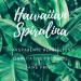 Original Hawaiian Spirulina 500g Powder | Ivarssons Natural Dried Algae | Pure Spirulina Refill Pack | International Shipping Available - Buy Online on GoSupps.com