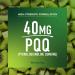 PQQ Supplement 40 MG | High Strength Pyrroloquinoline Quinone for Mitochondrial Biogenesis Cellular Energy & Brain Health Support | Mitochondria Supplement | Third-Party Tested Non-GMO | 60 Ct 40mg - Buy Online on GoSupps.com