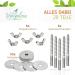 5 Pack Galvanized Steel Screws for DIY Bird Toys & Cage Attachments - Perfect for Tinkerers - Buy Online on GoSupps.com