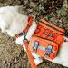 Oneigris Dog Harness - Fire Watcher 2.0 Tactical with 2 Metal Buckles MOLLE System No-Pull D-Ring 1000D Nylon - Orange - Buy Online on GoSupps.com
