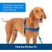 PetSafe Easy Walk No-Pull Dog Harness, Black/Silver, M/L - Buy Online on GoSupps.com