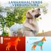 Cool Vest for Large Dogs - Reflective & Breathable Cooling Jacket with 2 Ice Bags for Summer Protection - Gray XL - Buy Online on GoSupps.com