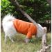 Buy Hualisiji Fleece Dog Sweater - Warm & Comfortable for Small Medium & Large Dogs (XXL Orange) - Perfect for Chihuahuas! - Buy Online on GoSupps.com