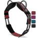Esposita riding strap with 2 leather handles for holding on for children and riders - also suitable as a lunging belt vaulting belt or as a wooden horse accessories Shetty red -black