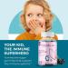 Hyland's Kids Organic Elderberry Plus Gummies - Immune Support with Black Elderberry, Zinc, and Vitamin C - 48 Vegan Gummies (2 Pack) - Buy Online on GoSupps.com