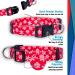 Native Pup Holiday Dog Collar - Valentine's Day, Halloween, Thanksgiving, Christmas, 4th of July, American Flag, St. Patrick's Day, Easter - Medium (Pack of 1) Christmas Snowflakes - Buy Online on GoSupps.com