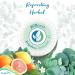 EcoEarth Hotel Soap Bars 1 oz 100 Pack - Spring Breeze Scent, Individually Wrapped - Travel Size Luxury Amenities for Airbnb, Motels - Mini Toiletries for Guest Bath - Buy Online on GoSupps.com