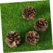 ABOOFAN 72 Pcs Xmas Pine Cone Ornaments Christmas Pine Cone Pine Cone Decorations Pine Needles Natural - Buy Online on GoSupps.com