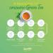 Desincha Ginger & Peppermint Tea | Energy Boost, Mental Focus & Digestive Support | Reduce Bloating | 60 Day Supply - Buy Online on GoSupps.com