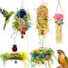 Heyu-Lotus 5 Pack Bird Shredding Toys Bird Parrots Chewing Hanging Toys Parrot Cage Shredder Toys Bird Cage Accessories for Small Parakeets Cockatiels Budgies Conures Love Birds Finches