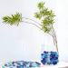 FUTUREPLUSX 5Lb 500PCS Blue Mixed Color Flat Glass Marbles - Premium Decorative Gems for Vases, Table Scatter, and More - Buy Online on GoSupps.com