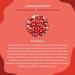 Organic Rose Hip Capsules 270 - High Dose Vegan EU Cultivated Pure & Fiber-Rich | True Nature - Laboratory Tested - Buy Online on GoSupps.com