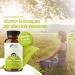 Vitamin B Complex High Dose | B12 B2 B6 - 120 Vegan Capsules | Rhein Nutrition - 4 Month Supply in Germany - Buy Online on GoSupps.com