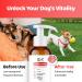 Dog Immunity Booster Drops - Vegan Formula with Vitamins, Antioxidants, and Mushroom Blend - 200ml - Buy Online on GoSupps.com