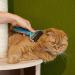 Navaris Pet Fur Dematting Comb - Undercoat Remover and Deshedding Tool for Dogs and Cats - Suitable for Small to Large Pets - Long or Short Hair - Style 2 - Buy Online on GoSupps.com