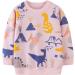 Girls Cotton Dinosaur Sweatshirt | Long Sleeve Pullover for Kids 2-3 Years | Toddler Casual Jumper T-Shirt | Age 1-12 Years - Buy Online on GoSupps.com