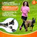 2-in-1 Jogging Line & Leash for Dogs | Dual Handle Dog Leash & Belly Belt for Large/Medium Breeds - Perfect for Walking Jogging & Hiking - Buy Online on GoSupps.com