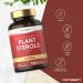Plant Sterols High Strength Capsules | 1200mg | 120 Count | with Beta-Sitosterol | Vegan and Vegetarian | by Horbaach - Buy Online on GoSupps.com