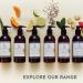 Puppy Love Shampoo & Conditioner Set for Sensitive Skin - Lavendar & Patchouli - 250ml - Gentle, Soothing, Natural Formula - Buy Online on GoSupps.com
