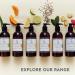 WildWash Spa Tear Free Facial Wash 300ml - Dog Facial Wash for Clean & Healthy Paws Safe & Effective No Harsh Chemicals Made with Natural Ingredients - Buy Online on GoSupps.com