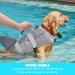 YUDISEN Dog Life Jacket Dog Summer Swimming Shark Safety Vest with Adjustable Strap and Rescue Handle for Beach Pool Boating With Free Dog Bath Brush (Grey M) Grey M - Buy Online on GoSupps.com