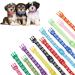 Heyu-Lotus 12-Pack Puppy Collars Paw Print Puppy Whelping Collars Quick Release Buckle Adjustable Leash Pet Safety Collars for Puppies and Cats (M) - Buy Online on GoSupps.com