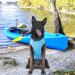Kickred 2 Pack Summer Dog Shirts - Fast-Drying Sleeveless Clothing for Medium Dogs - Unique Patterns in Light Blue & Fuchsia - Buy Online on GoSupps.com