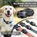 Airtag Dog Collar Holder | Waterproof Anti-Lost Pet Collar Case | Cat Dog Collars Loop Backpack Accessory-Black - Buy Online on GoSupps.com