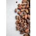 Peruvian "Blend" Ceremonial Cacao by The Jasper Cacao Project (250 Grams) - Buy Online on GoSupps.com