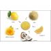 RAYA Lemon Sugar Facial Scrub - Organic Exfoliating Scrub for Dry Skin | Brightens & Smooths Complexion | International Shipping Available - Buy Online on GoSupps.com