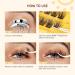 Pre-Glued -Cluster-Lashes QUEWEL Preglued-Eyelashes Natural Look No-Glue Needed Lash Clusters Reusable Lashes Self Adhesive for Beginner Easy to Apply DIY Lash-Extensions for Home Use(ZN-03) - Buy Online on GoSupps.com