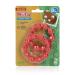 Nuby Silicone Teether Ring 2 Pack 3M+ Colors May Vary Multi - Buy Online on GoSupps.com