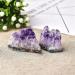 Minerals Stones 1 Piece Natural Amethyst Cluster Quartz Crystal Stones u200b u200breiki Stones u200b u200bkristall Point Decoration raw Crystals Crystal Stones Decoration Stone Mineral Specimen (Colo 2PCS Amethyst - Buy Online on GoSupps.com