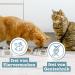 Catz Finefood MEATZ Cat Snack NE 13 - 100% Kangaroo Crispy Stripes Grain-Free & Sugar-Free 45g - Ideal for Allergy Sufferers - Buy Online on GoSupps.com