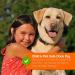 Pro-Kleen Artificial Grass Cleaner 5L - Dog-Friendly Formula with Lavender Scent - Concentrated Solution for 15 Litres - Home Astro Turf Deodorizer - Buy Online on GoSupps.com