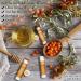 5g Bee Balm with Sea Buckthorn Oil from NORDBIENCHEN - Buy Online on GoSupps.com