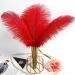 THARAHT 24pcs Red Ostrich Feathers 10-12Inch for Wedding & Party Centerpieces - Bulk Natural Feathers for Easter, Gatsby & Home Decor - Buy Online on GoSupps.com