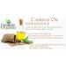 100% Pure Japanese Camellia Seed Oil - 8 oz | Cold Pressed, Unrefined, Non-GMO | Hydrating Oil for Skin, Hair, Nails | Vegan & Nourishing | Packaging May Vary - Buy Online on GoSupps.com