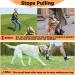 XL Slate Gray No Pull Dog Collar | Soft Upholstery Durable Design & Free Training Instructions - Perfect Control for Heavy Pulling Dogs - Buy Online on GoSupps.com